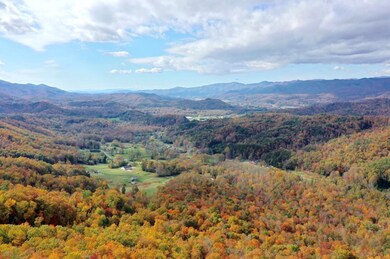 35&36 Cahill Dr, Andrews, NC 28901 - photo 2