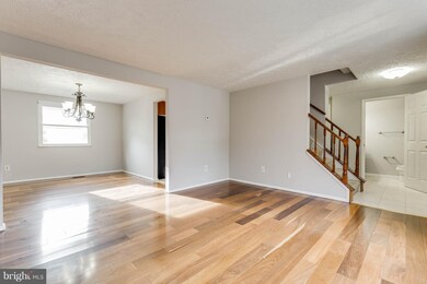 4423 Cub Run Rd, Chantilly, VA 20151 - photo 5