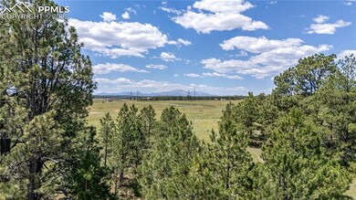 10438 Alamar Way, Black Forest, CO 80908 - photo 5