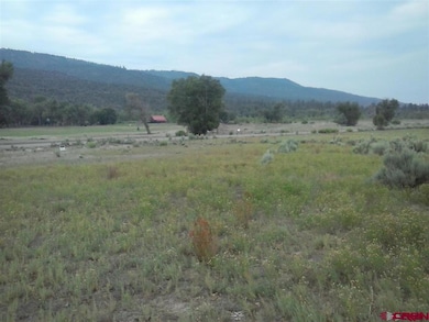 32651 County Road 500, Pagosa Springs, CO 81147 - photo 3