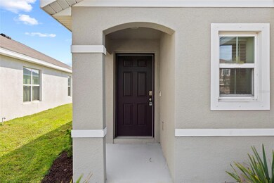 12183 High Rock Way, Parrish, FL 34219 - photo 6