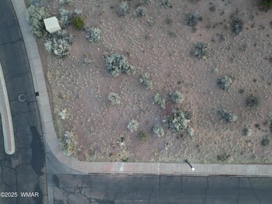 DJI_0779