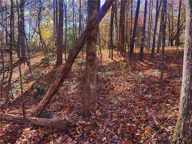 115 Beacon Ridge Cir, Keowee Key, SC 29676 - photo 5