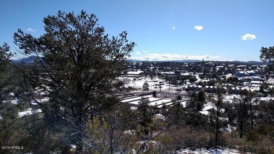 View South with Snow