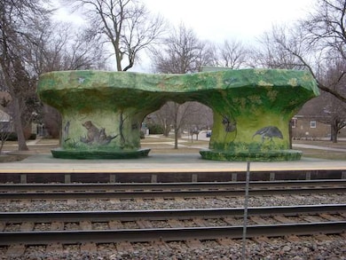 Carousel Image