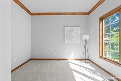 2548 Bangert Ln, Naperville, IL 60564 - photo 5