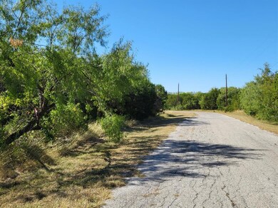 36046 Cedar Ridge Dr, Whitney, TX 76692 - photo 4