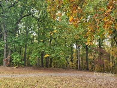 Woods to the left of the driveway coming in. 