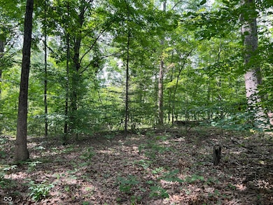 3501 S Swartz Ridge Rd, Bloomington, IN 47401 - photo 3