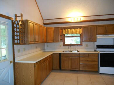 562 W Northern Ave, Brohman, MI 49312 - photo 3