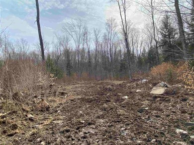 0 Cold River Rd unit M248 L 13-1, Acworth, NH 03601 - photo 7