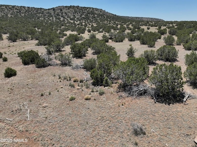 11139 Howard Mesa Loop, Williams, AZ 86046 - photo 2