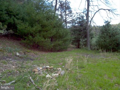 0 Native Trout Ln unit 1003504916, Moyers, WV 26815 - photo 3