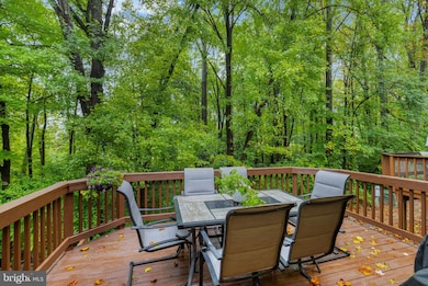 11752 Great Owl Cir, Reston, VA 20194 - photo 6