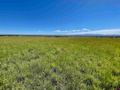 Lot 12 Road 23 5, Cortez, CO 81323 - photo 5