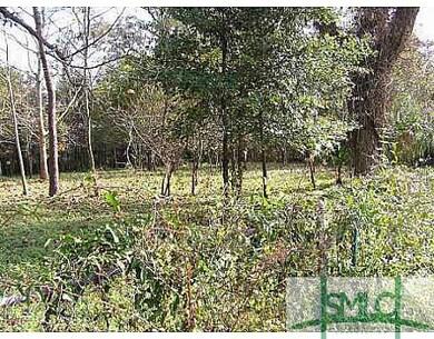 Land/Lot.