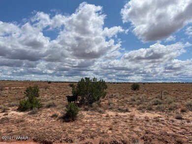 IMG_9832 (1)