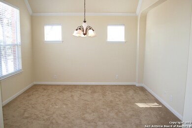 24003 Waterhole Ln, San Antonio, TX 78261 - photo 6