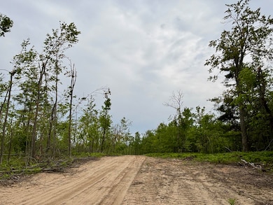 Parcel #B N Townline Rd, Lewiston, MI 49756 - photo 5