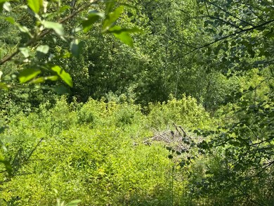 3 Brookside Dr, Grantham, NH 03753 - photo 7