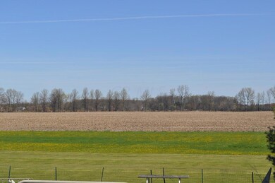 looking out back door 4