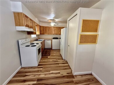 109 Hall St, Ripley, WV 25271 - photo 4