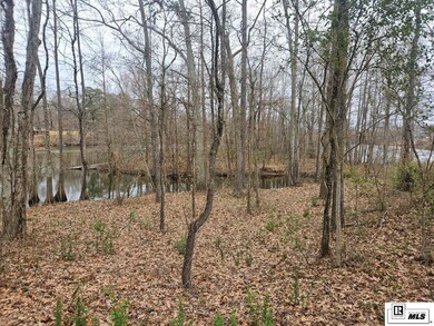 000 Hwy 165 S, Sterlington, LA 71280 - photo 6