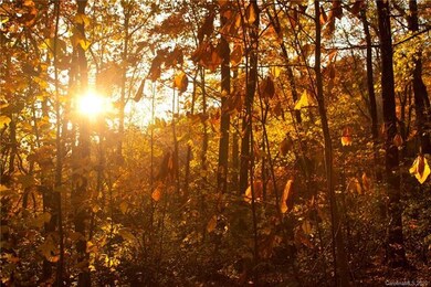 0000 Carolina Hills Dr, Hendersonville, NC 28792 - photo 6