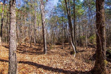 View of nature with a view of trees