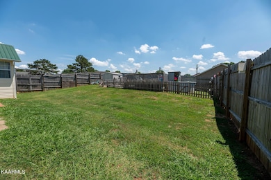 Back yard 2