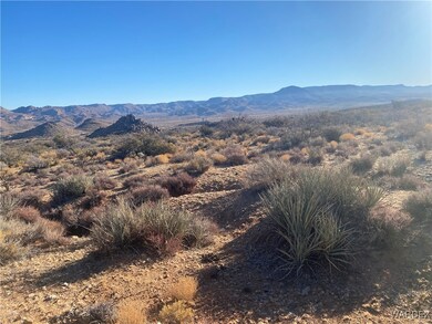 00 Jarvis Way, Hackberry, AZ 86411 - photo 4