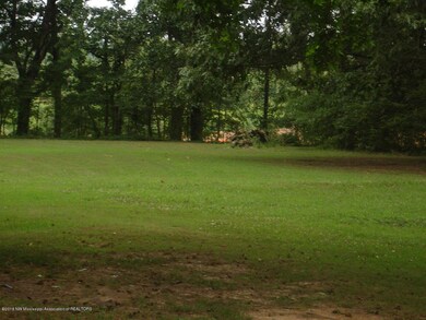 backyard 2