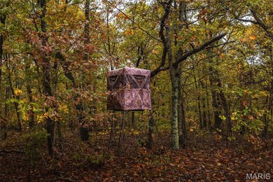 2 Lodge Rd, Bourbon, MO 65441 - photo 6