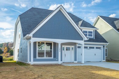 384 Willow Grove Ct, Ringgold, GA 30736 - photo 4