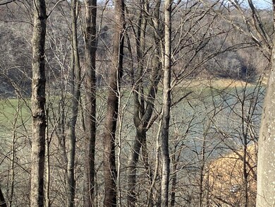 12 W Old Jamestown Rd, Russell Springs, KY 42642 - photo 7