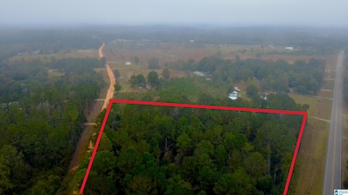 0 Opp Hwy, Dozier, AL 36028 - photo 7