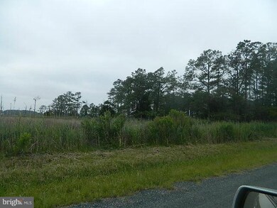 0 Toddville Rd unit 1001675997, Toddville, MD 21672 - photo 5