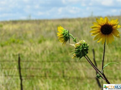 8 Harmon Rd, Copperas Cove, TX 76522 - photo 4