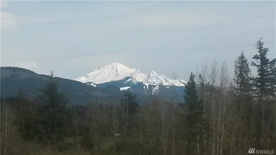 6430 Everson Goshen Rd, Everson, WA 98247 - photo 2