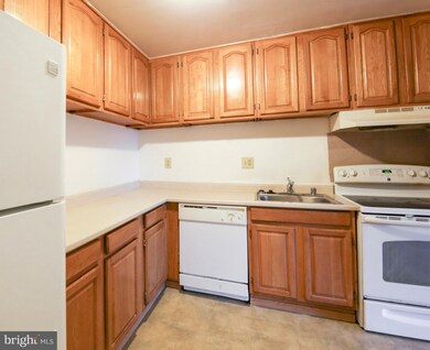 5214 Karl Place NE, Washington, DC 20019 - photo 3