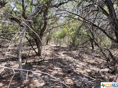 15969 Salado Dr, Temple, TX 76502 - photo 3