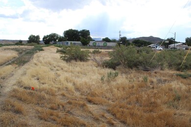 TBD E 3rd St, de Beque, CO 81630 - photo 4