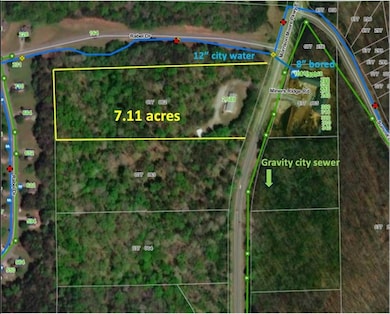 2589 Morrison Moore Pkwy E, Dahlonega, GA 30533 - photo 6