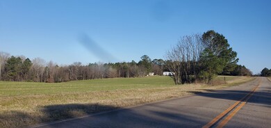 1041 Holstein Rd, Buckhead, GA 30625 - photo 2