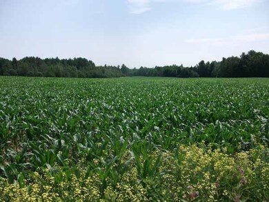 000000 Griffin Rd, Levant, ME 04345 - photo 3