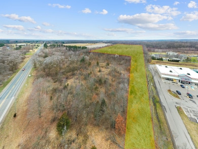 56600 M-51 S, Dowagiac, MI 49047 - photo 2