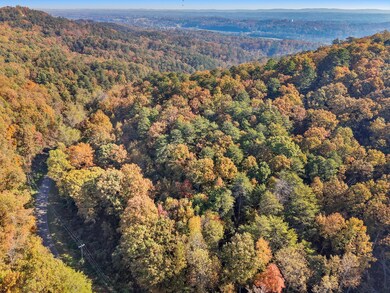 05-DJI_20251105103519_0773_D