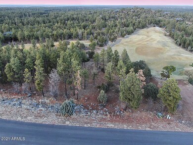 GolfCoursefrombackandside