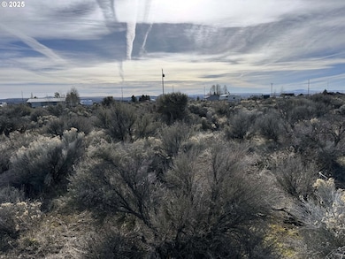 0 Aspen unit 20800, Christmasvalley, OR 97641 - photo 7