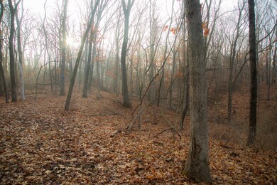 Lot 1 East St, Berlin Township, IL 61356 - photo 5